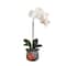2ft. Artificial Orchid Arrangement in Handmade Mexican Talavera Ceramic Planter